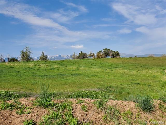 MLS Image #7 for 6526  county road 331 ,silt, Colorado