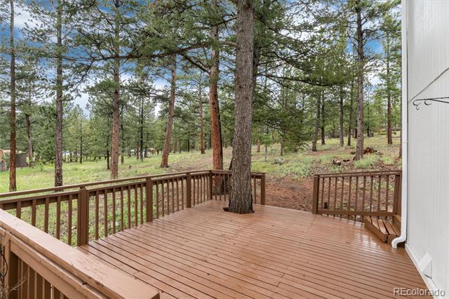 MLS Image #30 for 6798  overland road,ward, Colorado