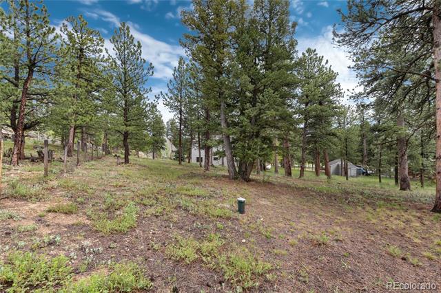 MLS Image #35 for 6798  overland road,ward, Colorado