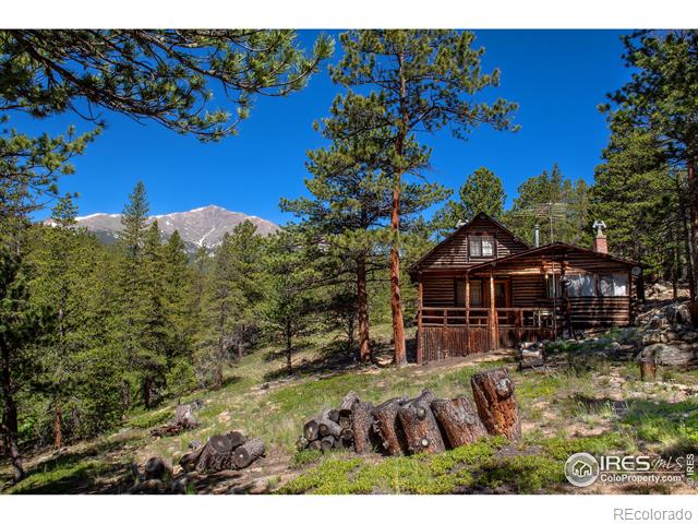 MLS Image #1 for 1217  big owl road,allenspark, Colorado