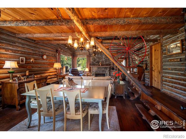 MLS Image #11 for 1217  big owl road,allenspark, Colorado