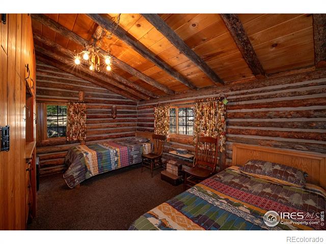 MLS Image #14 for 1217  big owl road,allenspark, Colorado