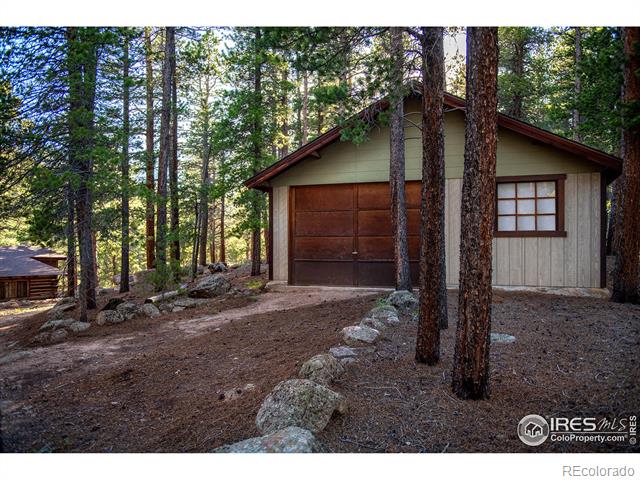 MLS Image #16 for 1217  big owl road,allenspark, Colorado