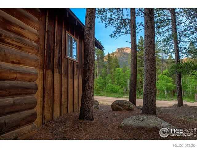 MLS Image #17 for 1217  big owl road,allenspark, Colorado