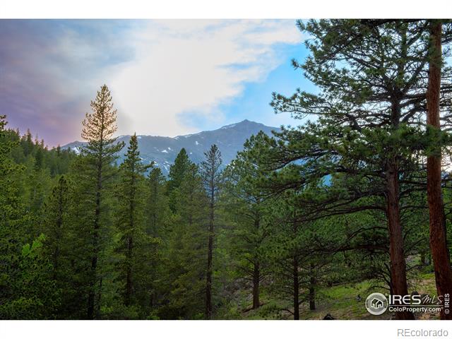 MLS Image #18 for 1217  big owl road,allenspark, Colorado