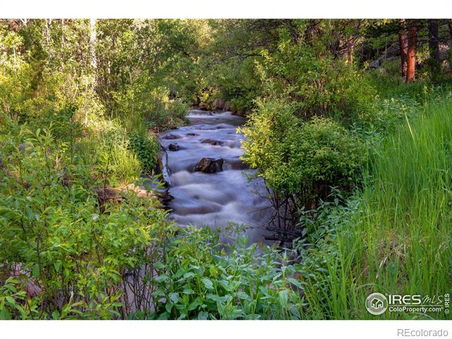 MLS Image #2 for 1217  big owl road,allenspark, Colorado