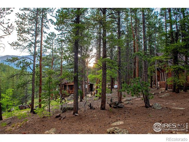 MLS Image #20 for 1217  big owl road,allenspark, Colorado