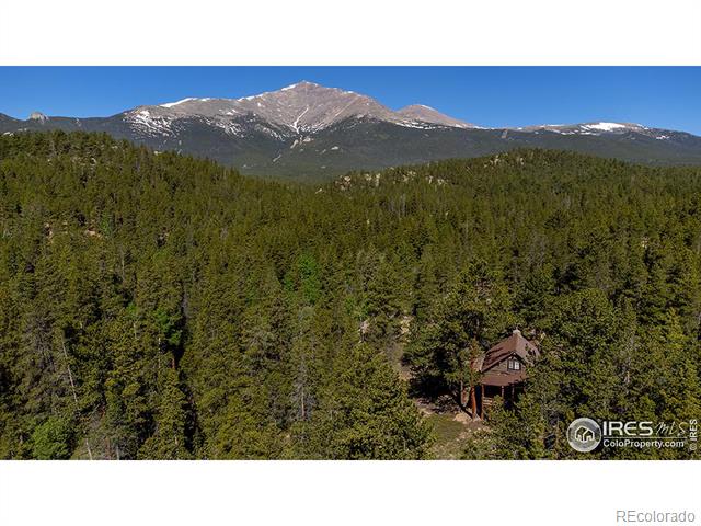 MLS Image #3 for 1217  big owl road,allenspark, Colorado