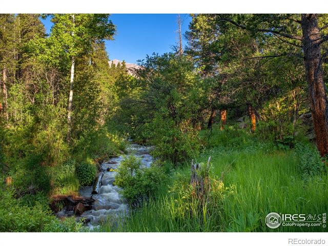 MLS Image #5 for 1217  big owl road,allenspark, Colorado