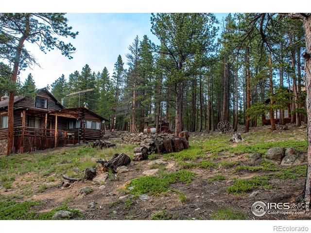 MLS Image #7 for 1217  big owl road,allenspark, Colorado