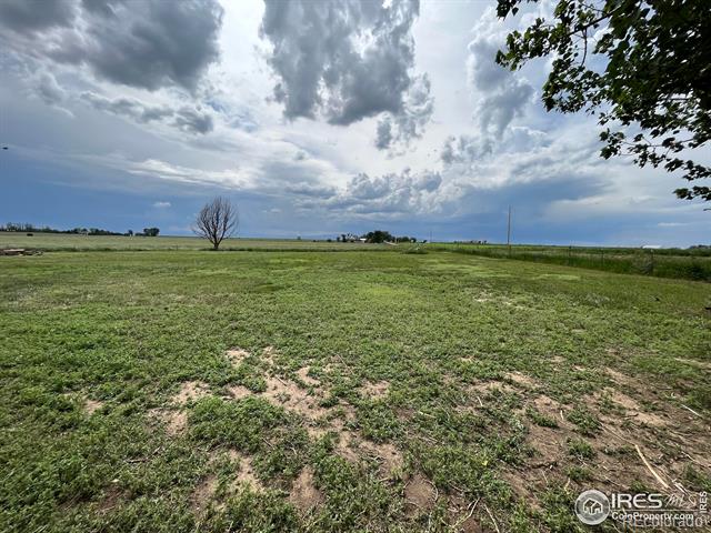 MLS Image #19 for 38973  county road 21 ,fort collins, Colorado