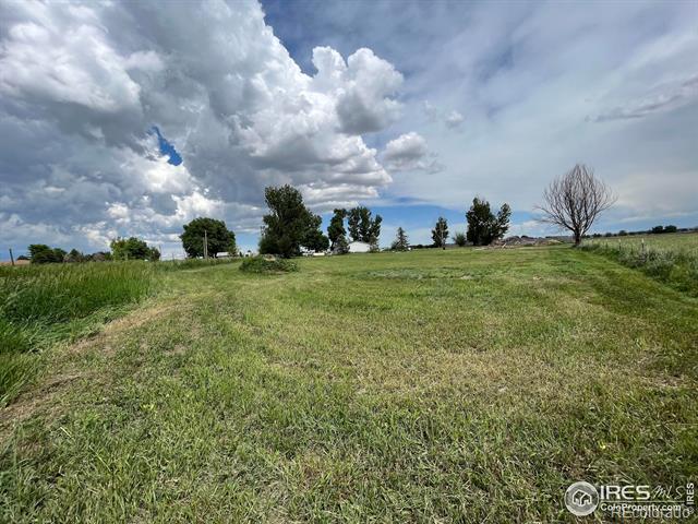 MLS Image #20 for 38973  county road 21 ,fort collins, Colorado