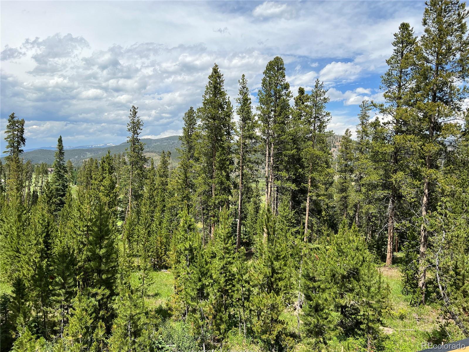 MLS Image #13 for 245  fairways drive,breckenridge, Colorado