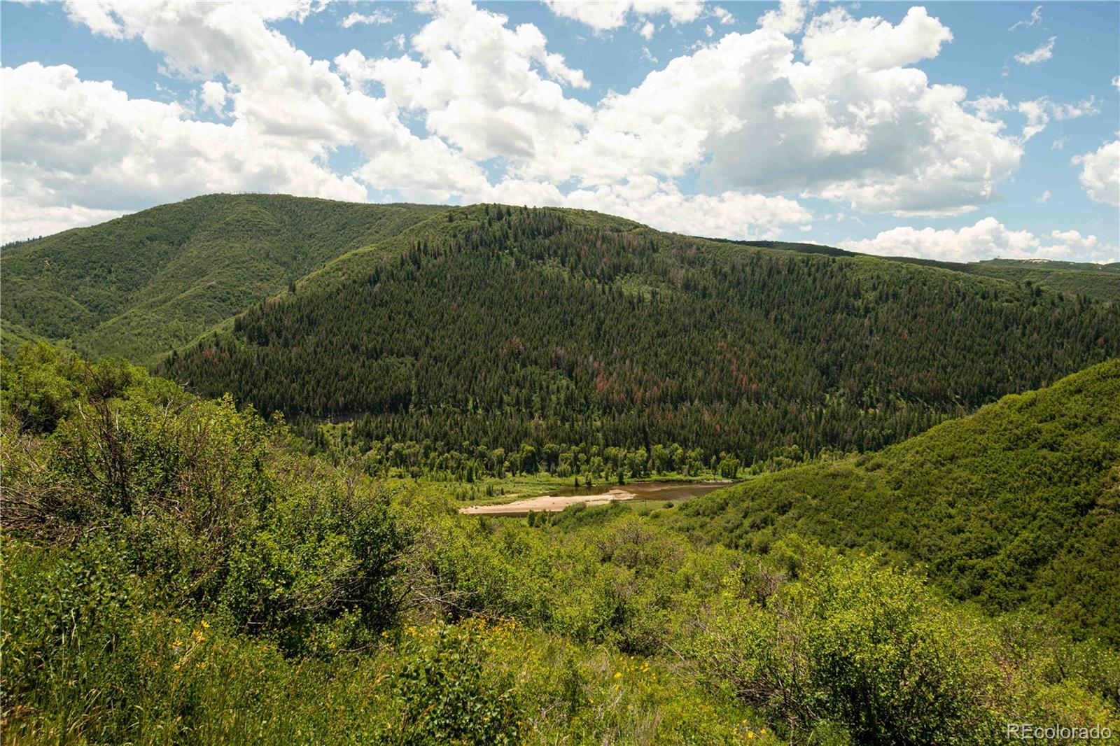 MLS Image #19 for 39955 s valley drive,steamboat springs, Colorado