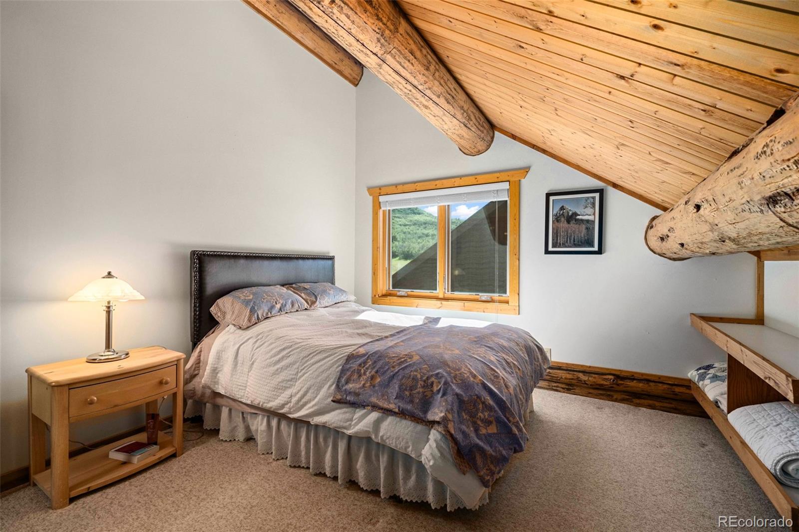 MLS Image #25 for 39955 s valley drive,steamboat springs, Colorado