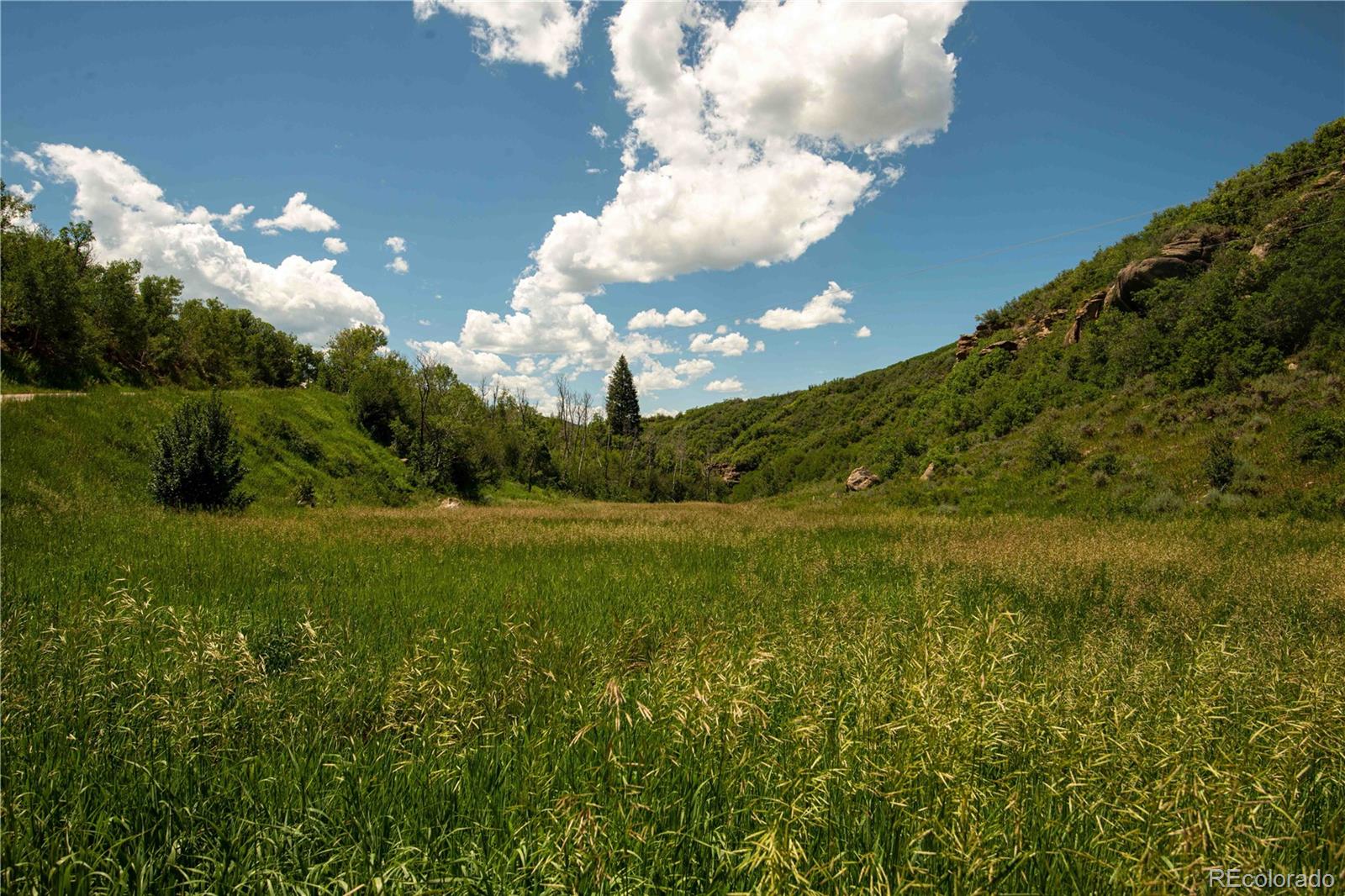 MLS Image #34 for 39955 s valley drive,steamboat springs, Colorado