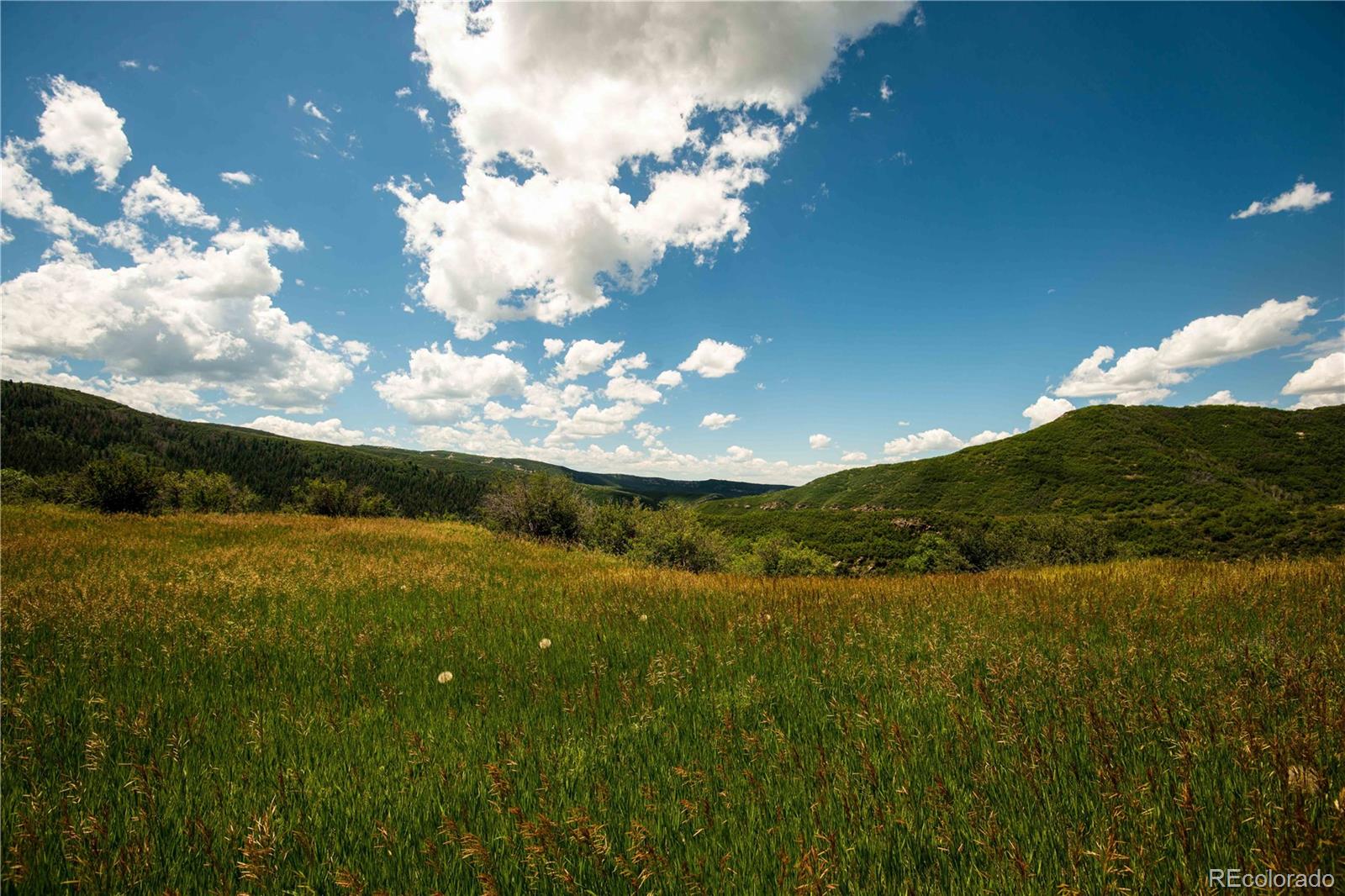 MLS Image #7 for 39955 s valley drive,steamboat springs, Colorado