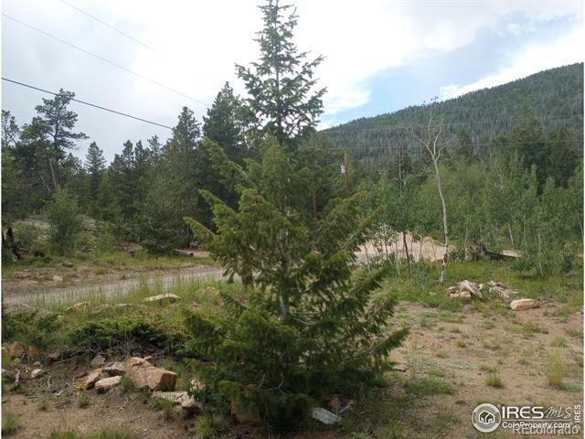 MLS Image #28 for 56  tonkawa drive,red feather lakes, Colorado