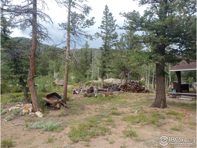 MLS Image #29 for 56  tonkawa drive,red feather lakes, Colorado