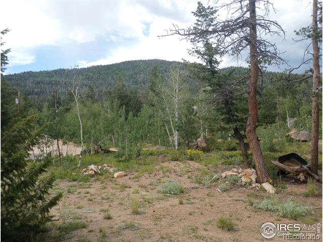 MLS Image #30 for 56  tonkawa drive,red feather lakes, Colorado