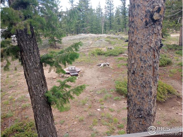 MLS Image #38 for 56  tonkawa drive,red feather lakes, Colorado