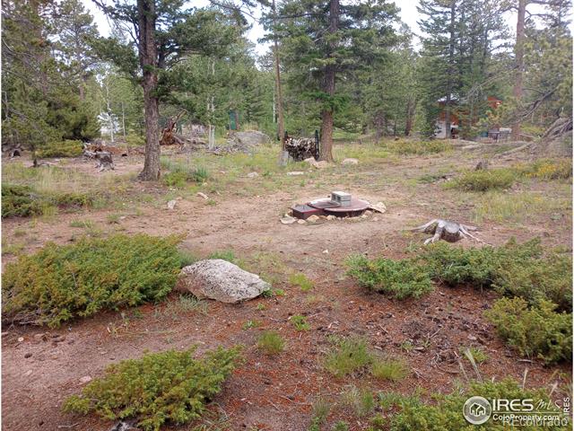 MLS Image #39 for 56  tonkawa drive,red feather lakes, Colorado