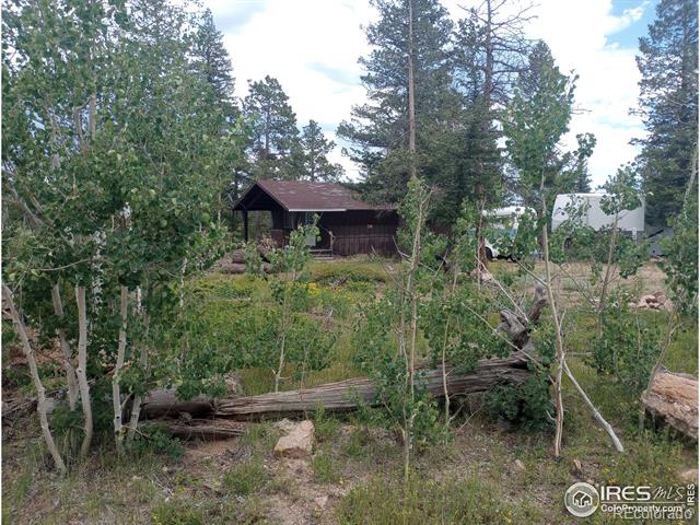 MLS Image #40 for 56  tonkawa drive,red feather lakes, Colorado