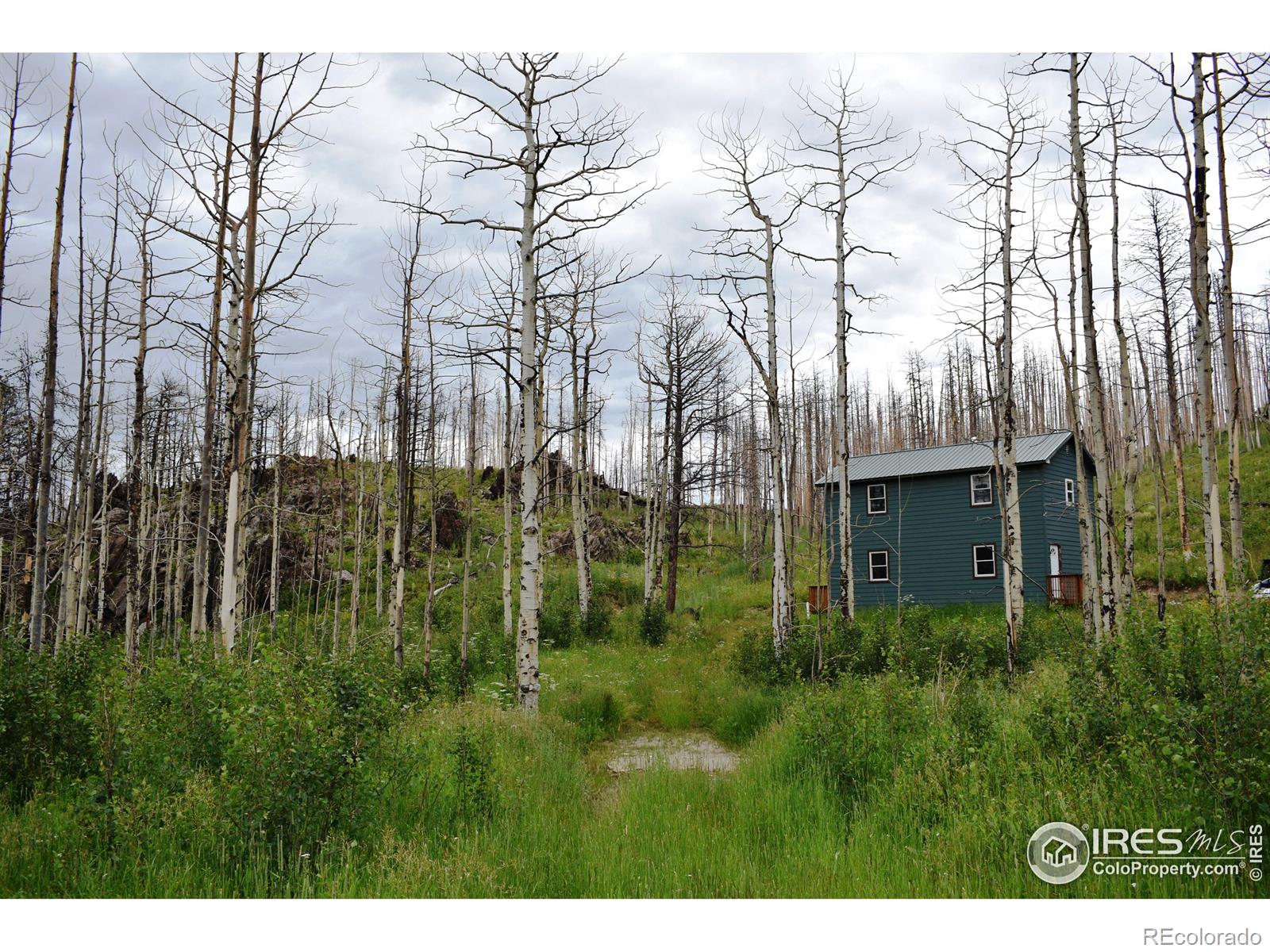 MLS Image #1 for 500  powder horn trail,bellvue, Colorado