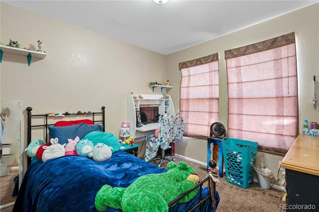 MLS Image #18 for 15612 e 96th way,commerce city, Colorado