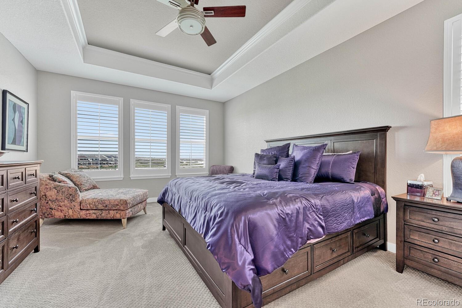 MLS Image #14 for 6930  hyland hills street,castle pines, Colorado