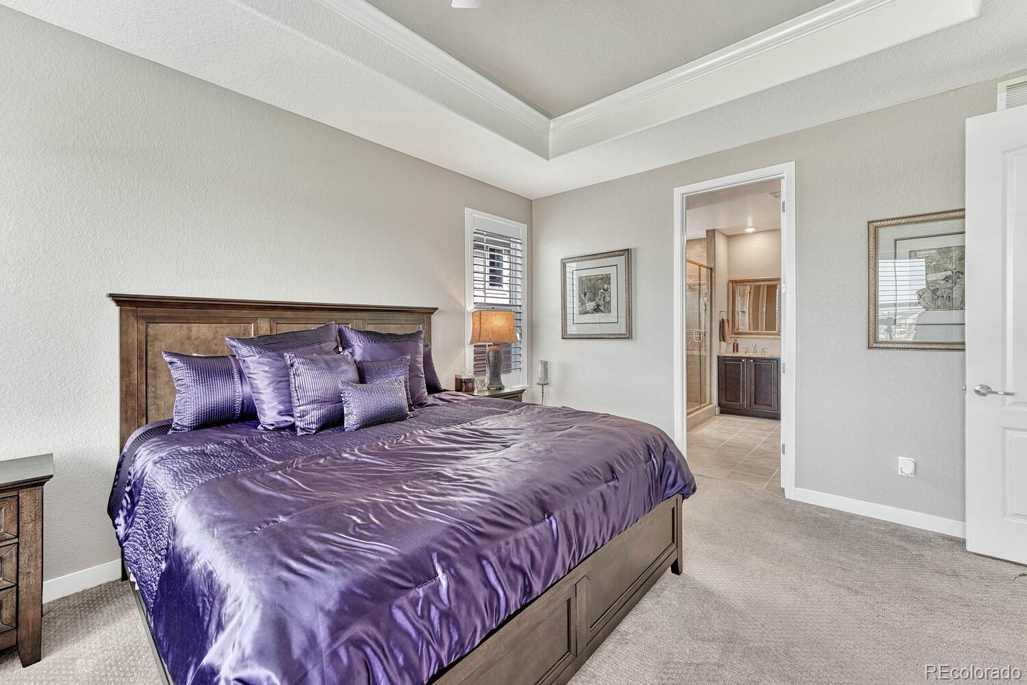 MLS Image #16 for 6930  hyland hills street,castle pines, Colorado