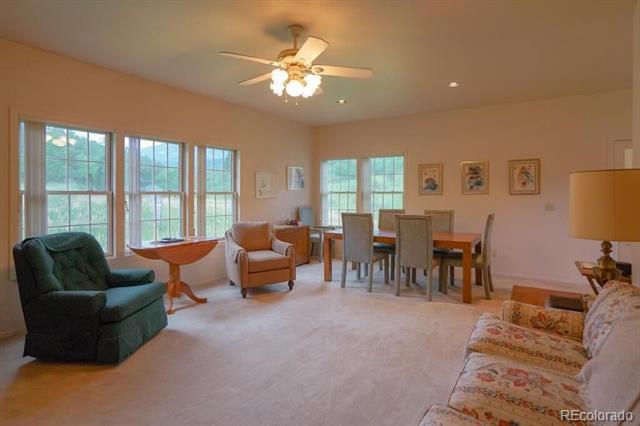 MLS Image #11 for 18220  cr 54.2 ,aguilar, Colorado