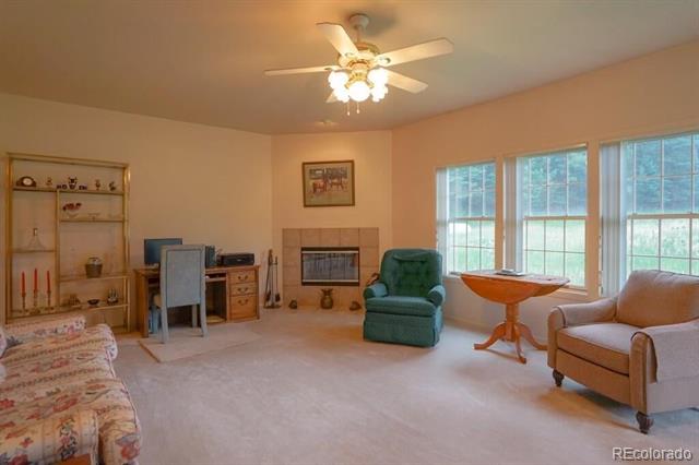 MLS Image #12 for 18220  cr 54.2 ,aguilar, Colorado