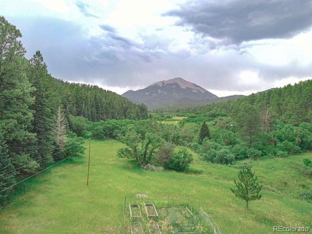 MLS Image #4 for 18220  cr 54.2 ,aguilar, Colorado