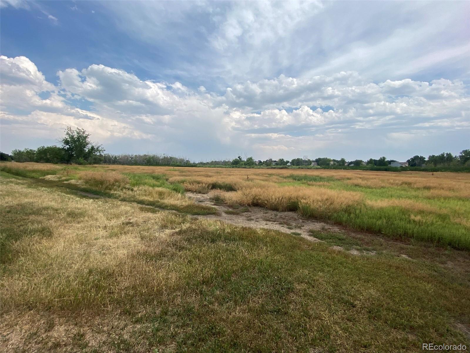 MLS Image #19 for 12380  york street,thornton, Colorado