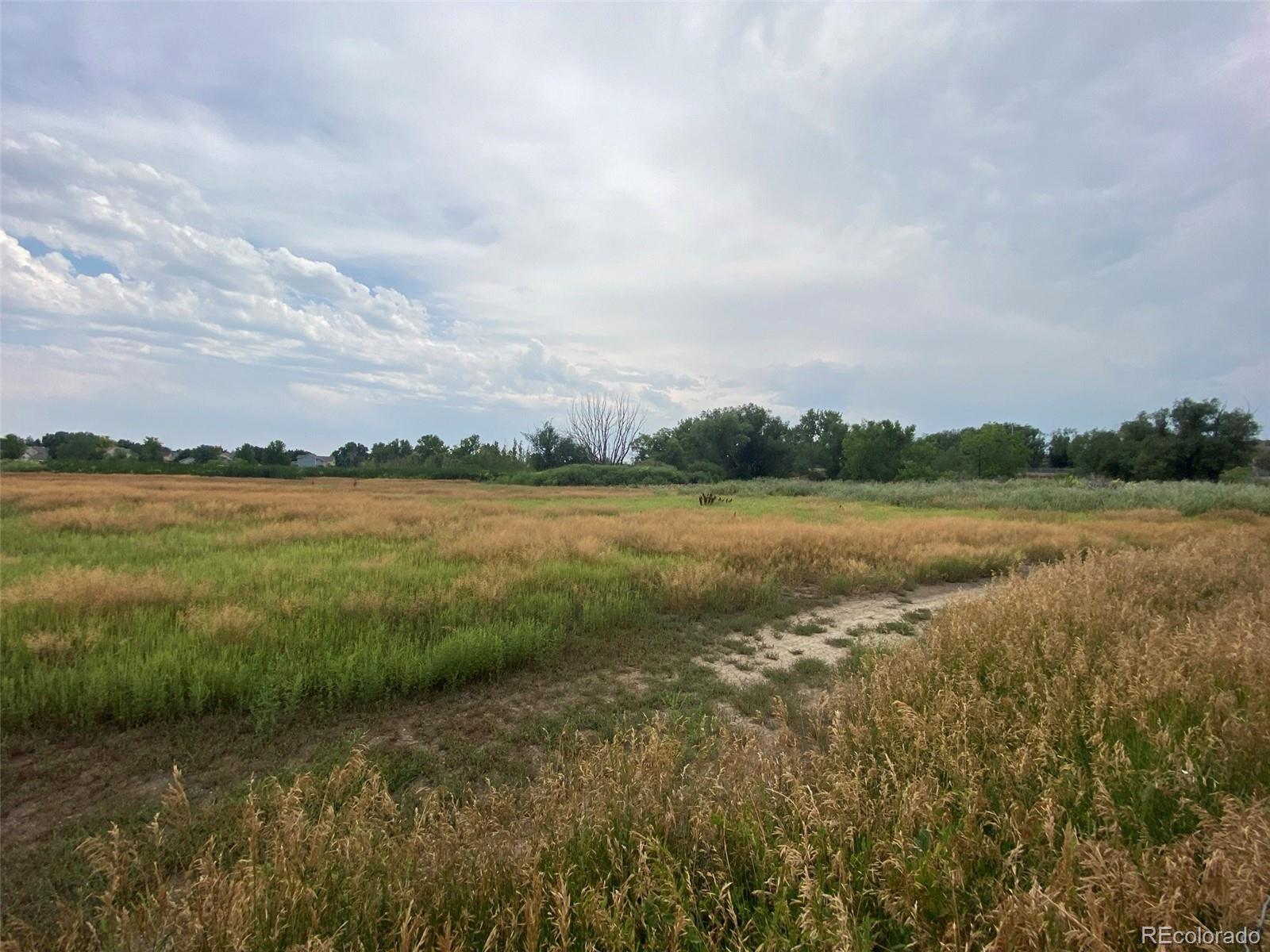 MLS Image #20 for 12380  york street,thornton, Colorado