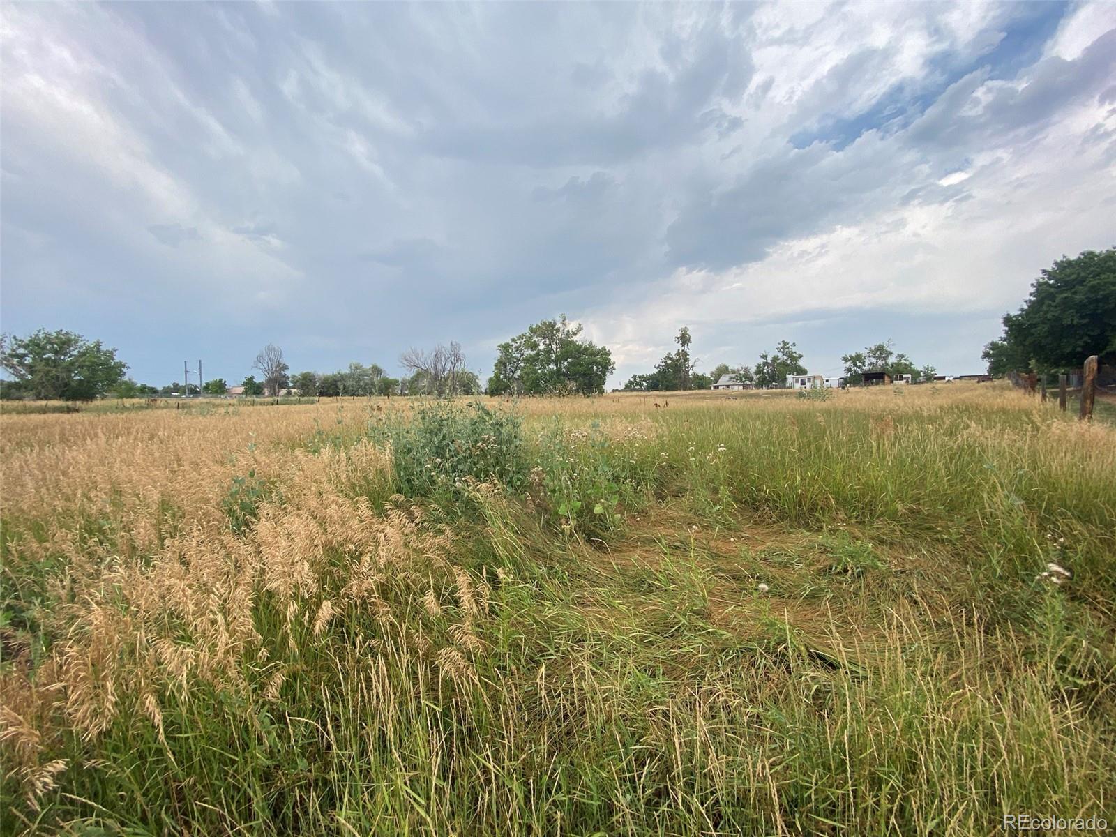 MLS Image #21 for 12380  york street,thornton, Colorado