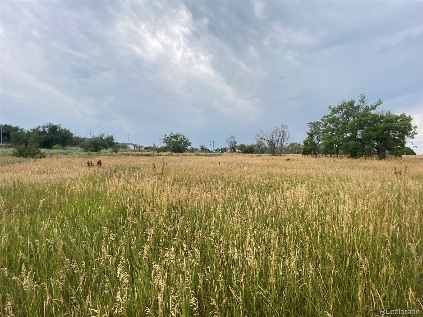 MLS Image #23 for 12380  york street,thornton, Colorado