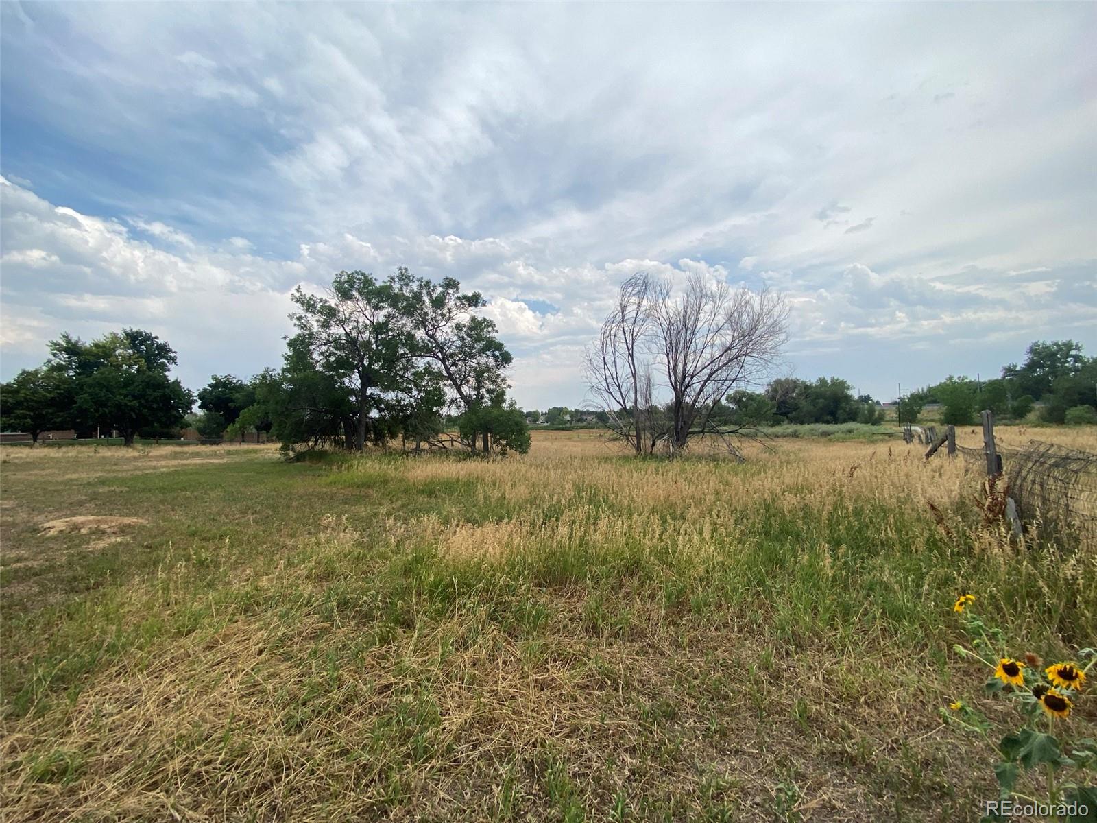 MLS Image #24 for 12380  york street,thornton, Colorado