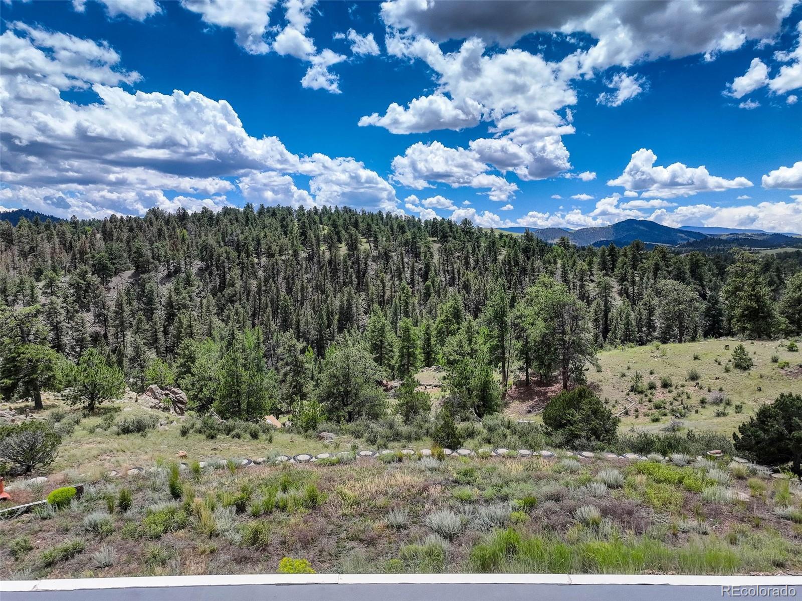 MLS Image #24 for 212  skyhawk lane,guffey, Colorado