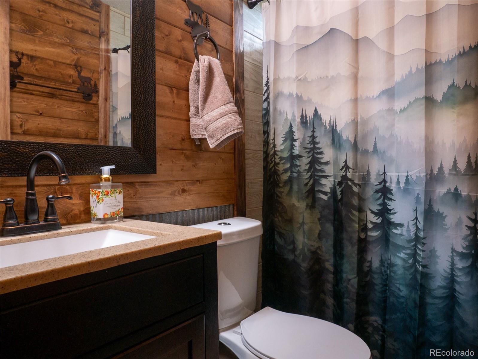 MLS Image #20 for 54  oak drive,cotopaxi, Colorado