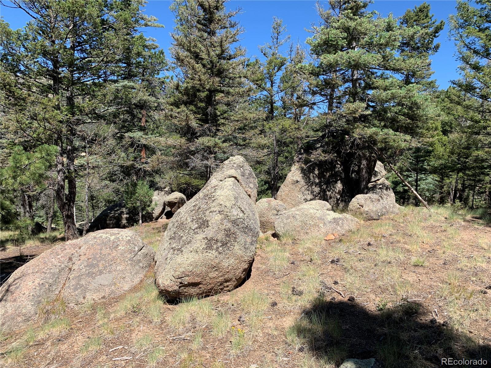 MLS Image #38 for 54  oak drive,cotopaxi, Colorado
