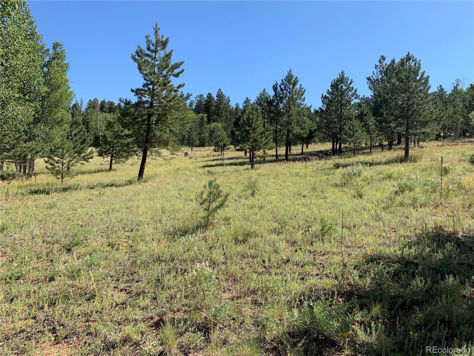 MLS Image #39 for 54  oak drive,cotopaxi, Colorado