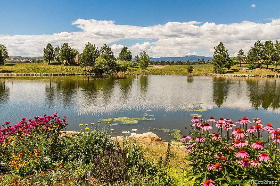 MLS Image #18 for 6176  oxford peak lane,castle rock, Colorado