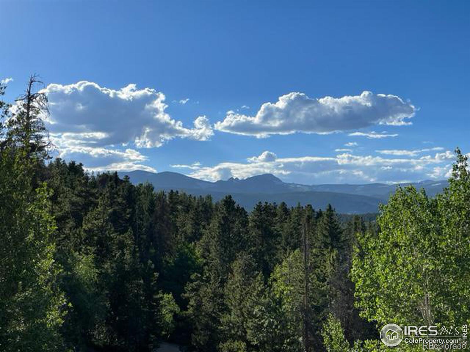 MLS Image #1 for 8  valley view drive,nederland, Colorado