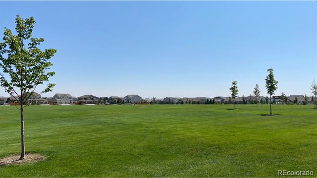 MLS Image #13 for 3081  163rd place,thornton, Colorado