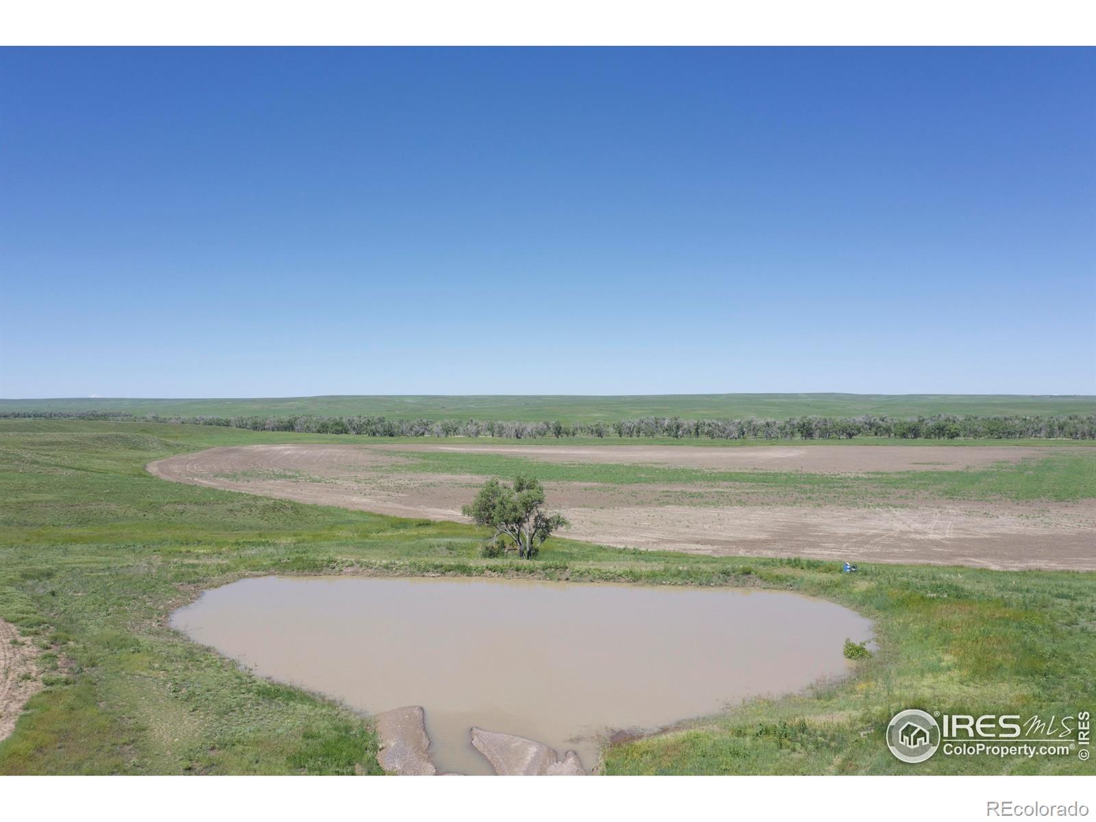 MLS Image #3 for 37755  county road 153 ,agate, Colorado