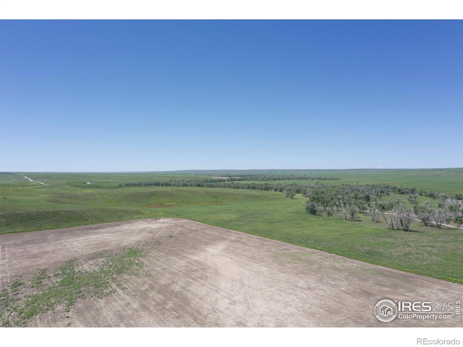 MLS Image #5 for 37755  county road 153 ,agate, Colorado