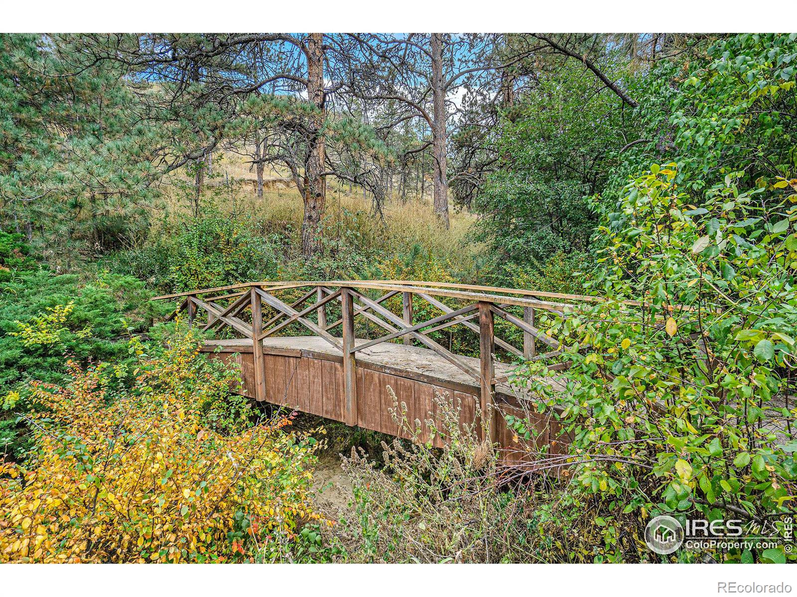 MLS Image #25 for 7301  poudre canyon road,bellvue, Colorado