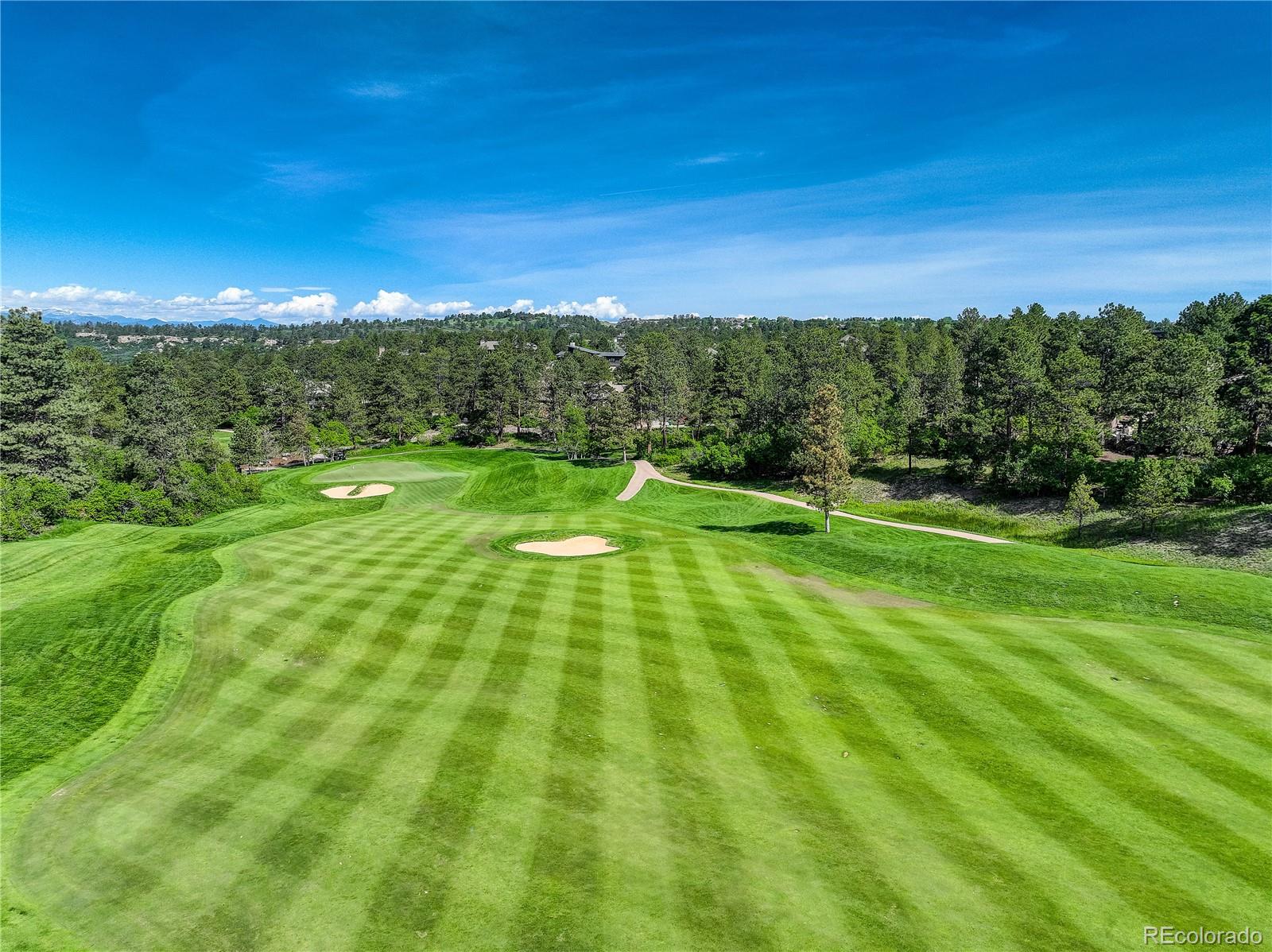 MLS Image #4 for 1085  golf estates point,castle rock, Colorado